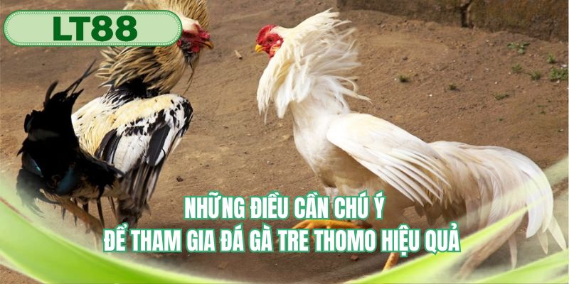 Chia sẻ những điều cần chú trọng để trải nghiệm hiệu quả