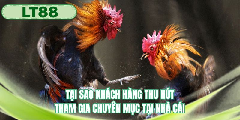 Tại sao khách hàng thu hút tham gia chuyên mục tại nhà cái